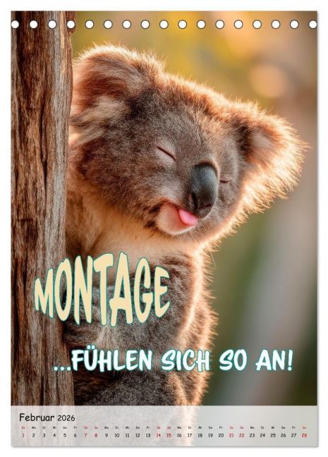additionalImage7
