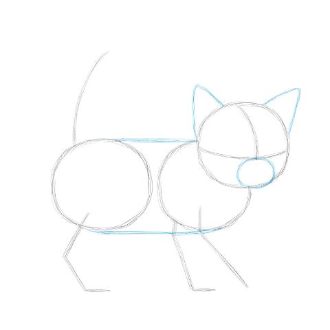 additionalImage2