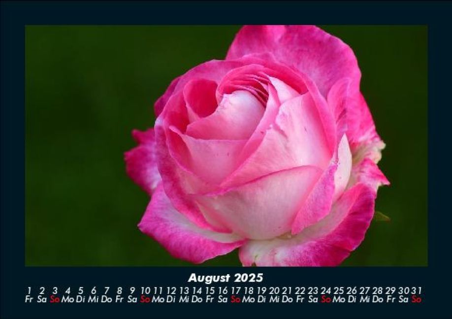additionalImage12