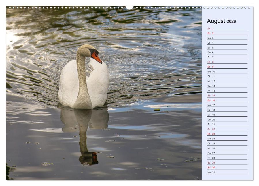 additionalImage13