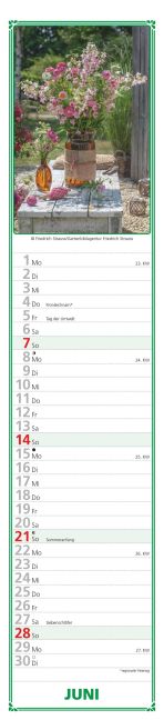 additionalImage11