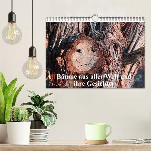 additionalImage1