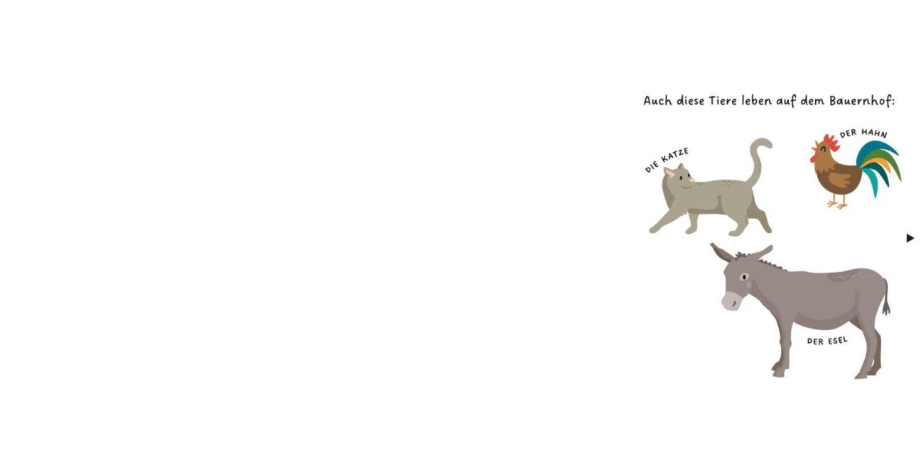 additionalImage6