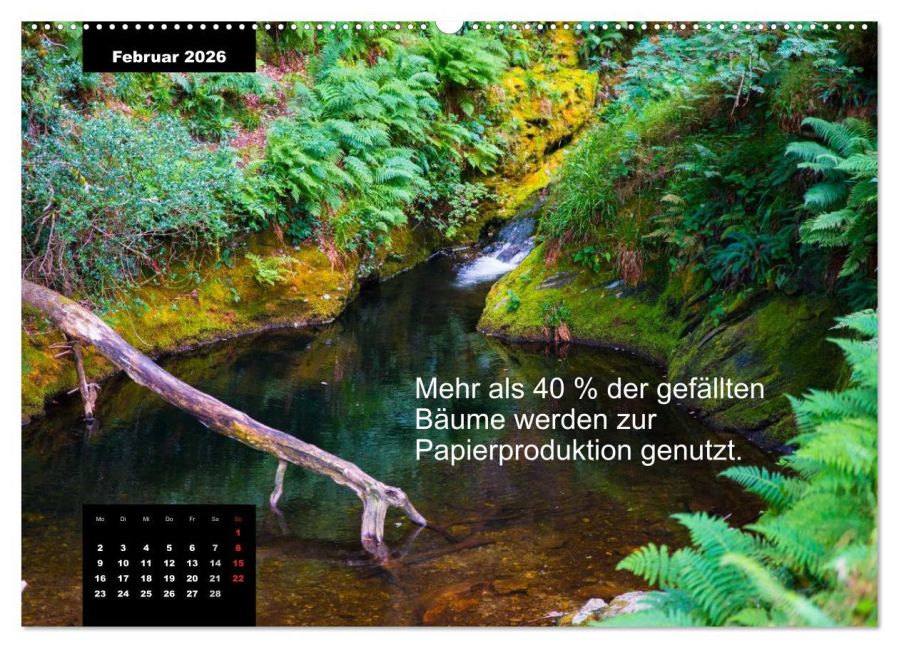 additionalImage6