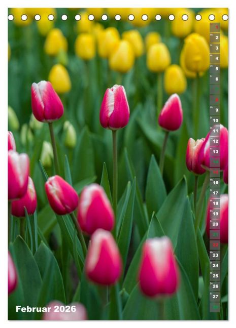 additionalImage7