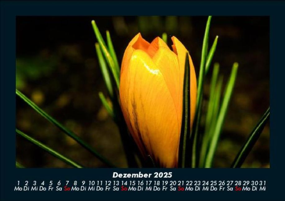 additionalImage4