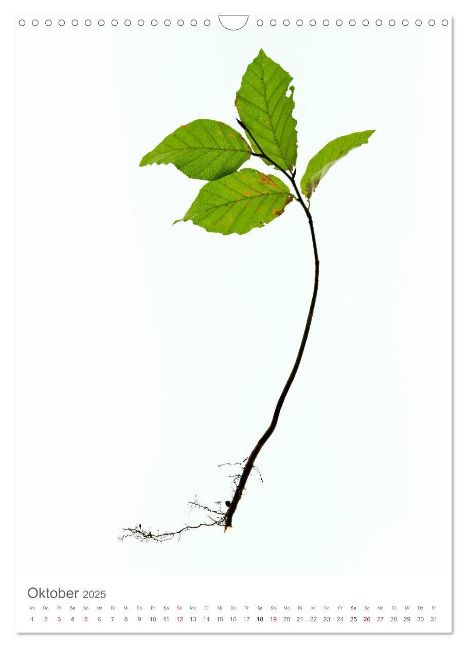 additionalImage2