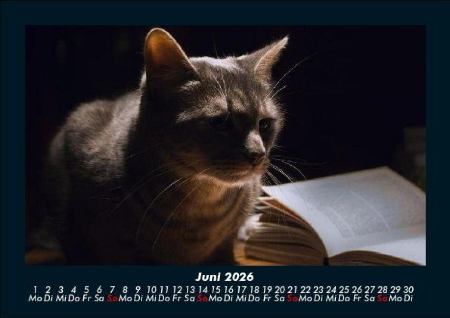 additionalImage10