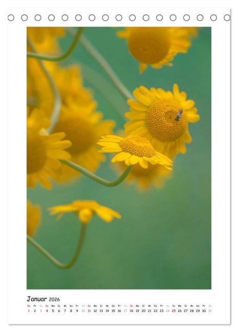additionalImage6