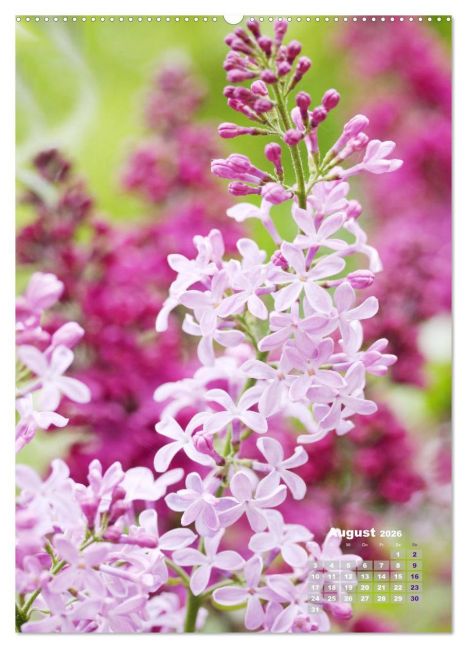 additionalImage12