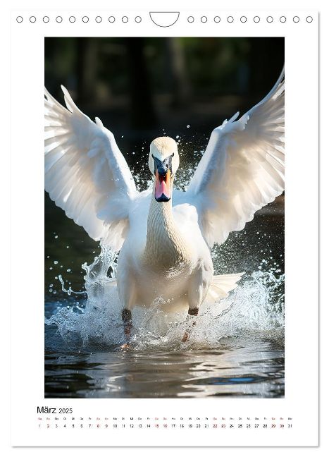 additionalImage2