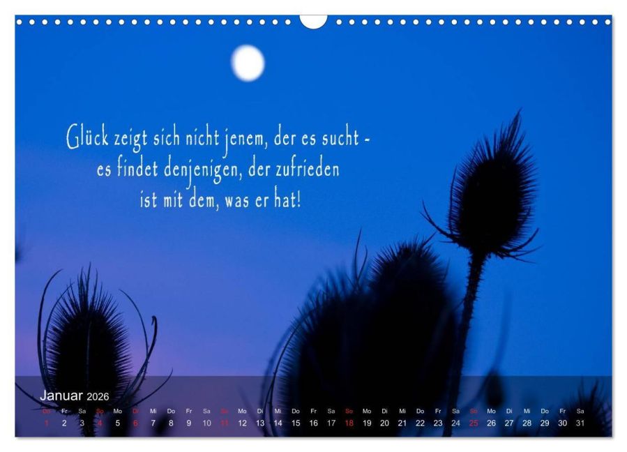 additionalImage6