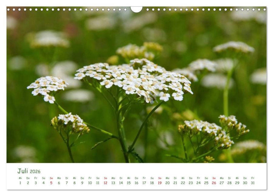 additionalImage12