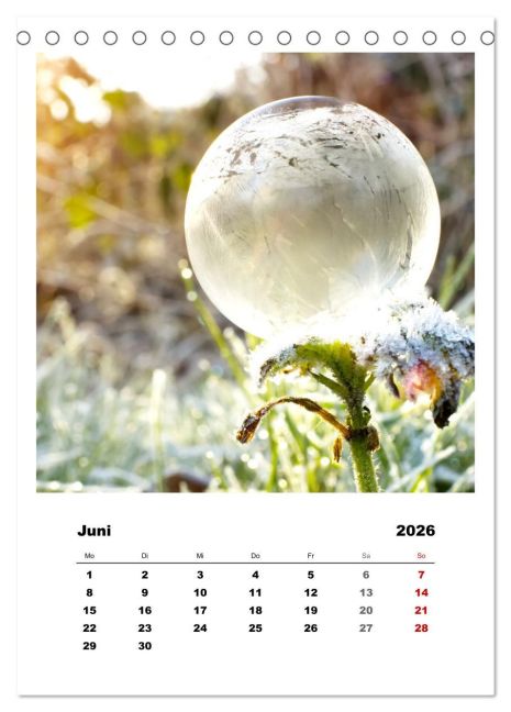 additionalImage11