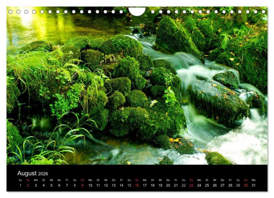additionalImage13