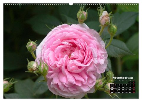 additionalImage2