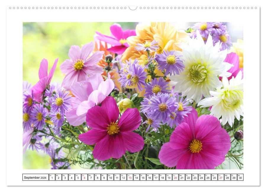 additionalImage14