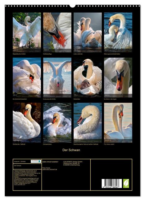 additionalImage4