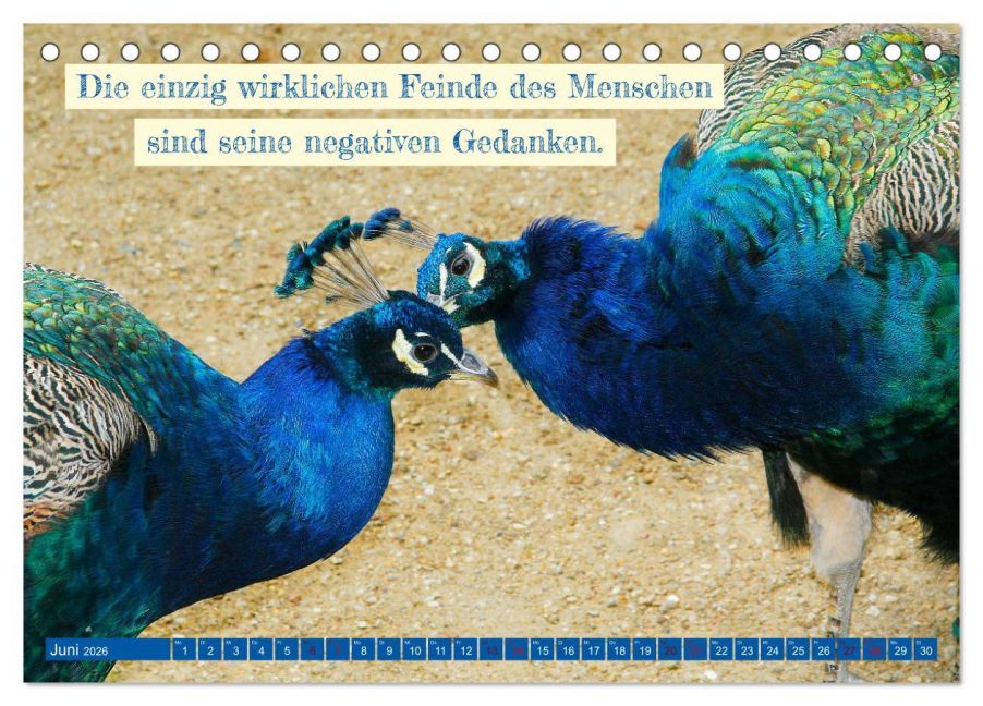 additionalImage11