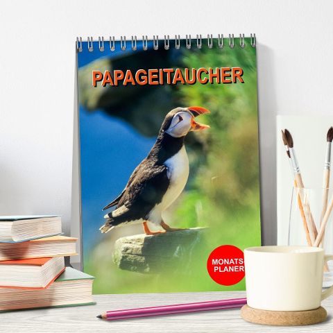 additionalImage1