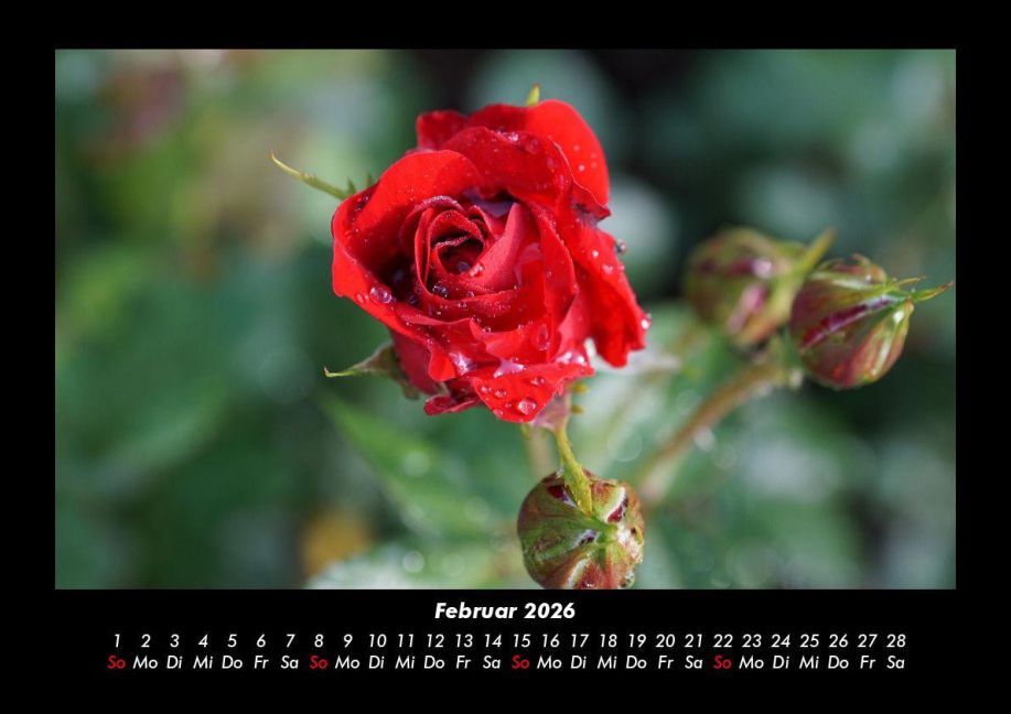 additionalImage6