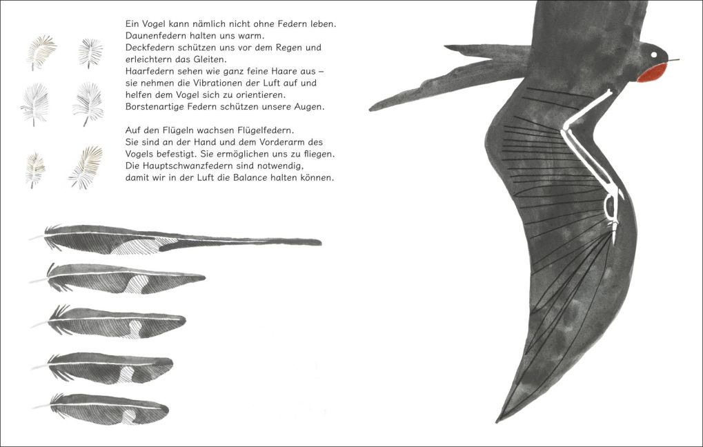 additionalImage3