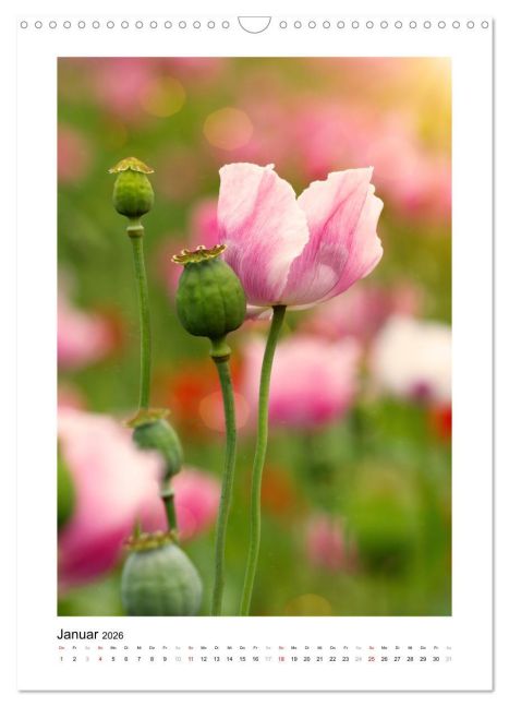 additionalImage6