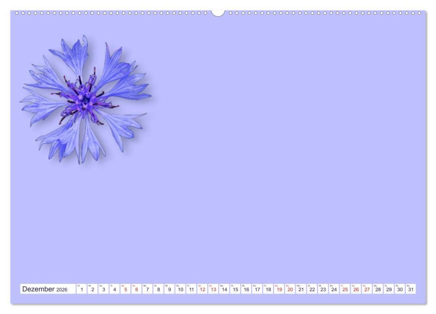 additionalImage3