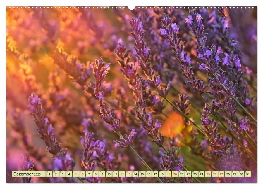 additionalImage4