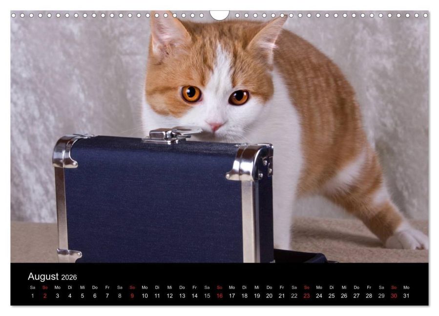 additionalImage13