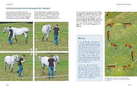 additionalImage6