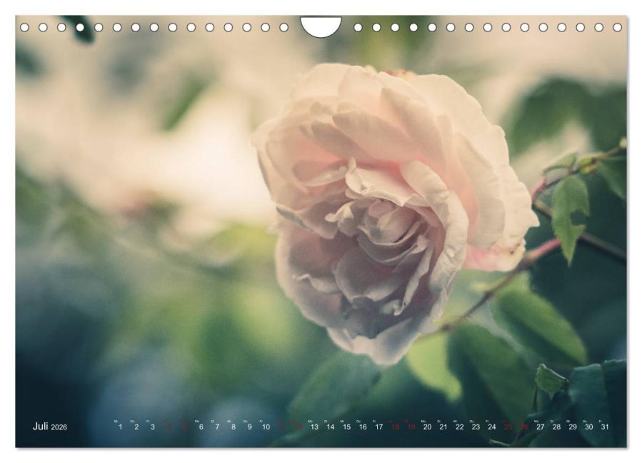 additionalImage12