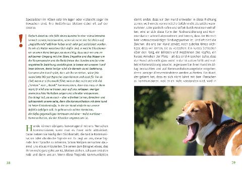 additionalImage2