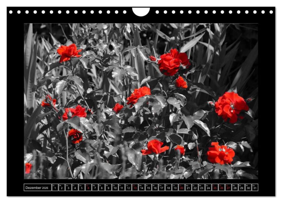 additionalImage4