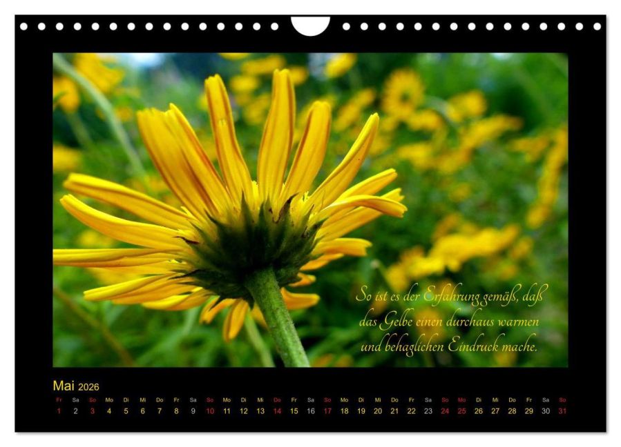 additionalImage10