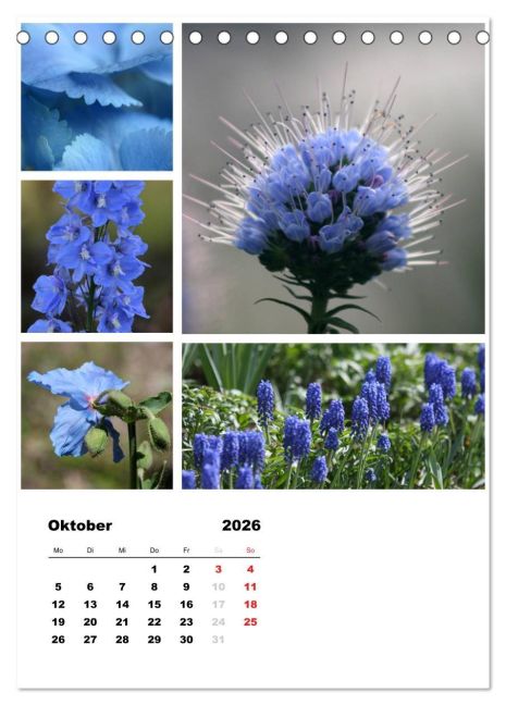 additionalImage2