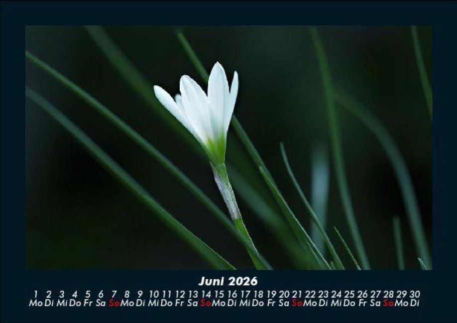 additionalImage10