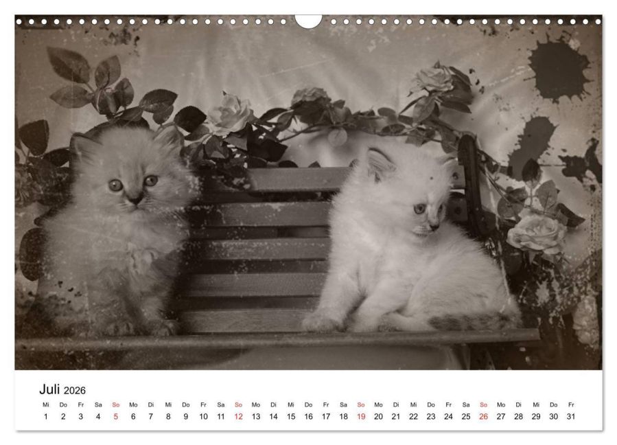 additionalImage12