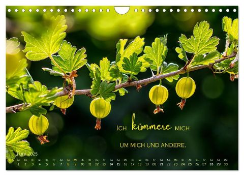 additionalImage11