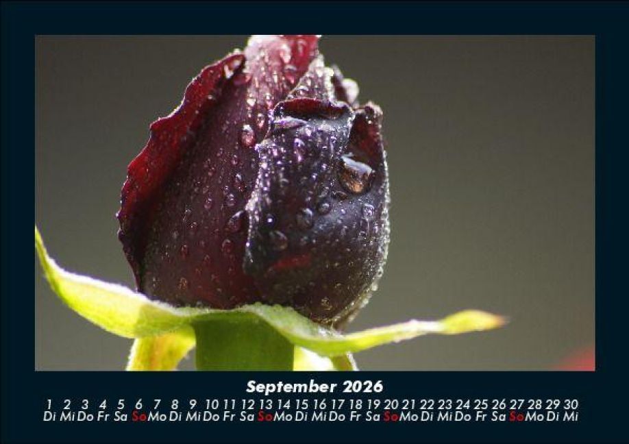 additionalImage1