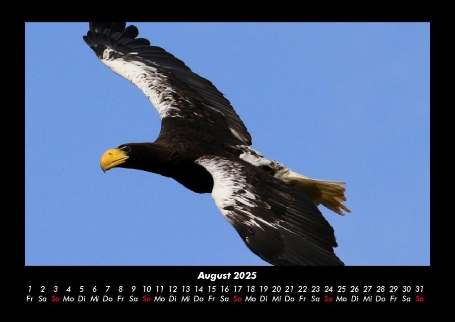 additionalImage12