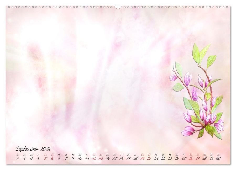 additionalImage13