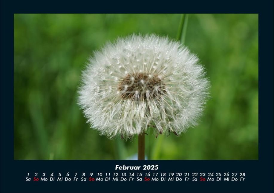 additionalImage6