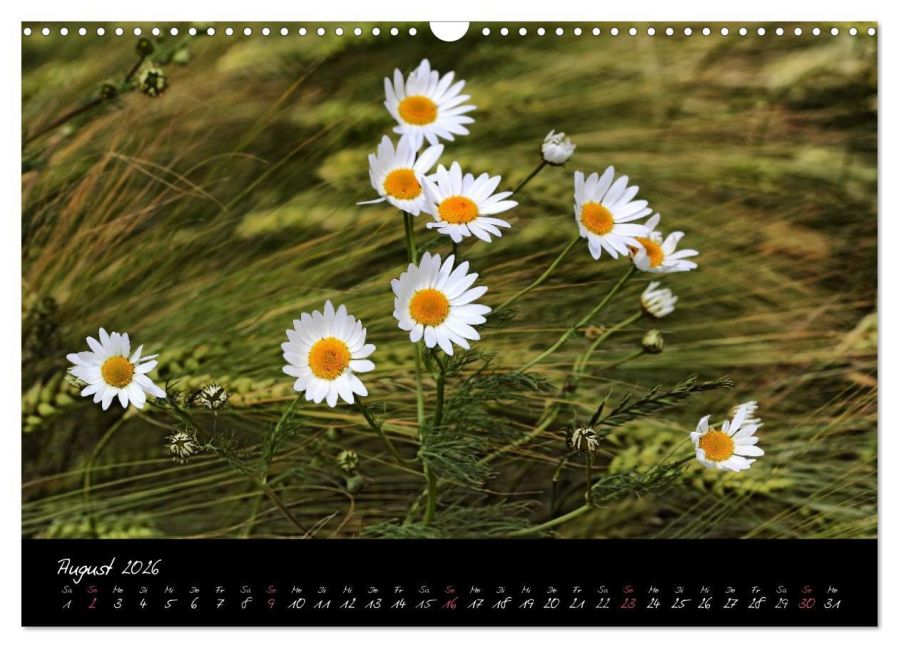 additionalImage13