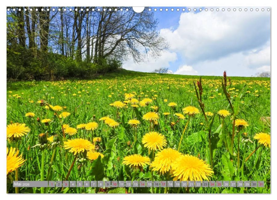 additionalImage10