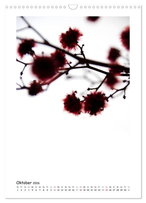 additionalImage2