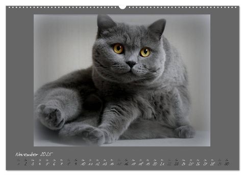 additionalImage2