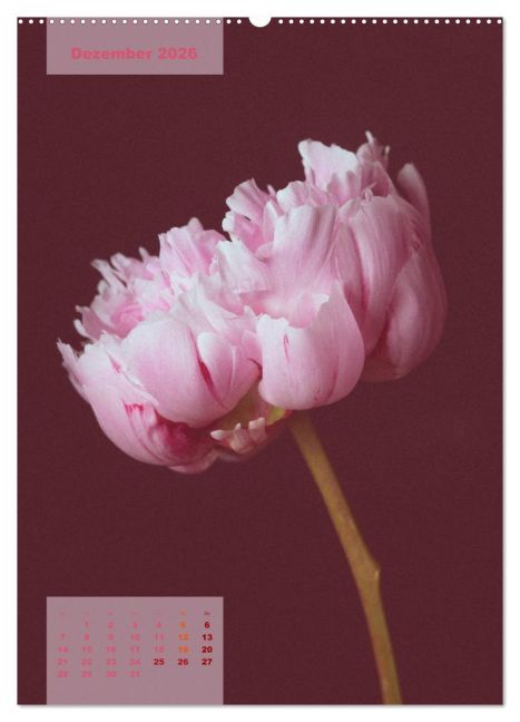 additionalImage4