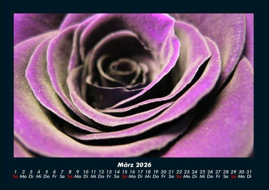 additionalImage7