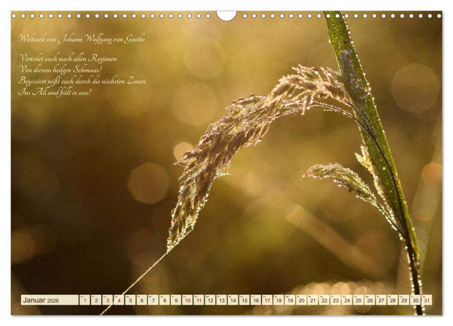 additionalImage6